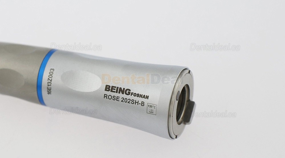 BEING Rose202-SH-B Dental Slow Speed Straight Handpiece with LED Light